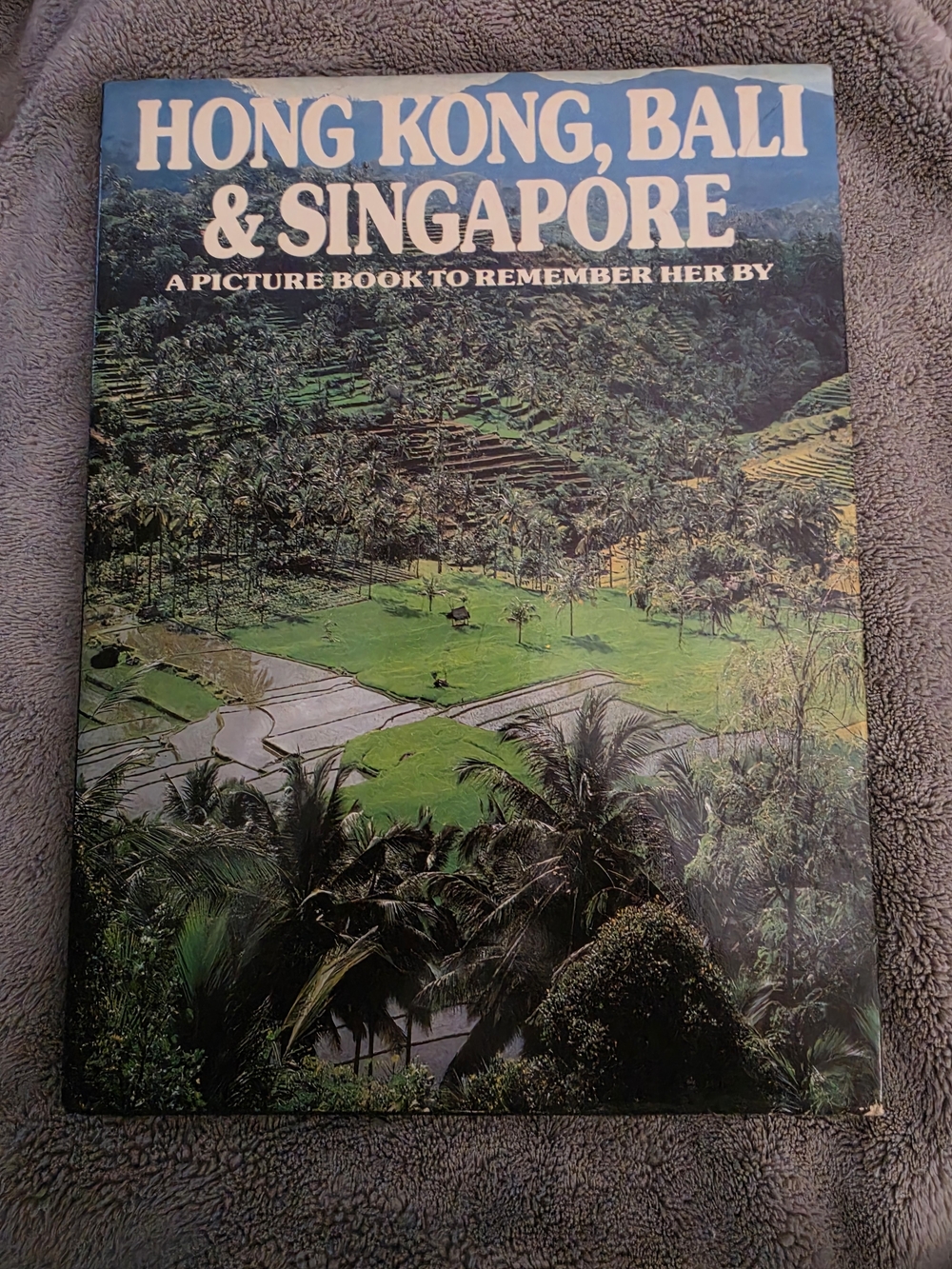Hong Kong, Bali & Singapore: A Picture Book to Remember Her By